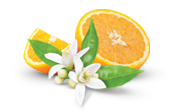 Orange-Scent.png
